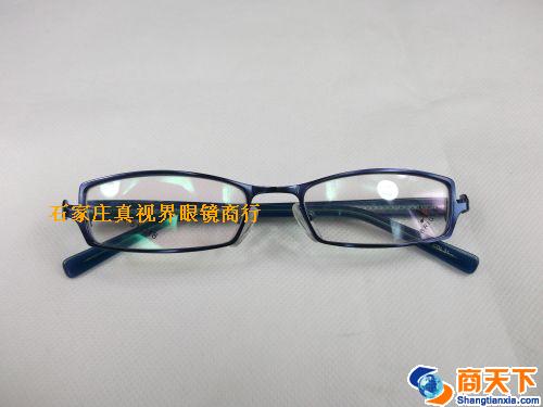 谢霆锋金属镜架 H1058A-C31
