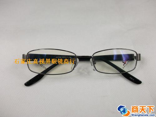 谢霆锋金属镜架 H1109-C3