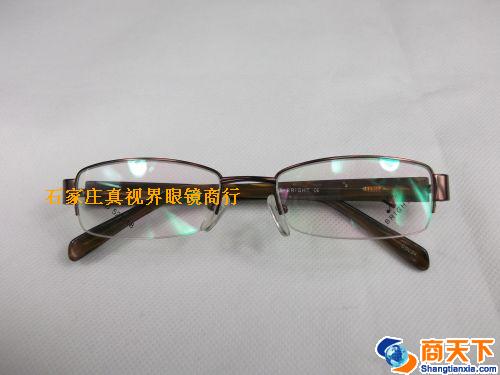 谢霆锋金属镜架 H1059B-C24