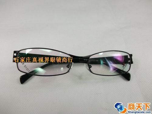 谢霆锋金属镜架 H1028-C19