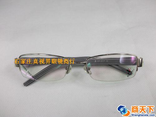 谢霆锋金属镜架 0584-C2