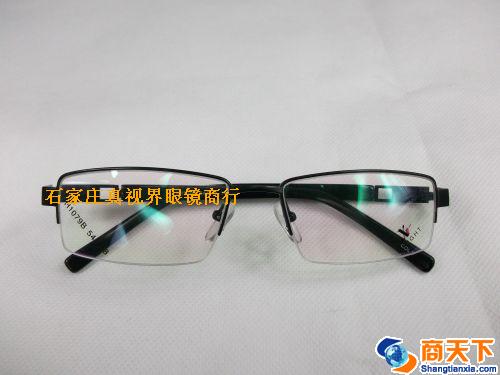 谢霆锋金属镜架 H1079B-C19