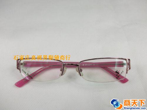 谢霆锋金属镜架 0306-C20