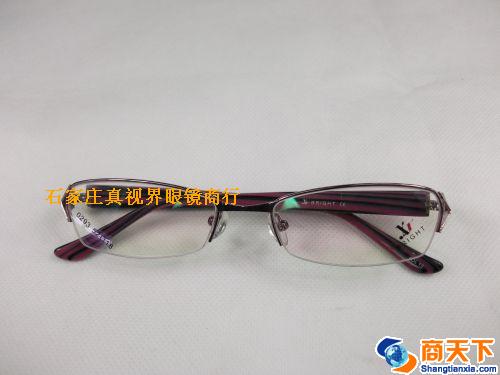 谢霆锋金属镜架 0293-C10