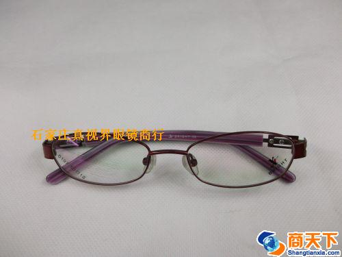 谢霆锋金属镜架 0197-C22