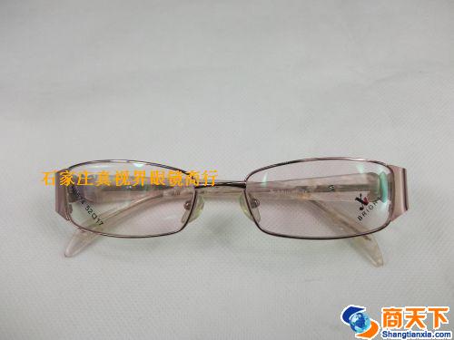 谢霆锋金属镜架 H0574-C20