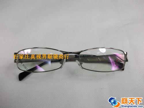 谢霆锋金属镜架 H1028-C31