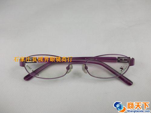 谢霆锋金属镜架 0197-C10