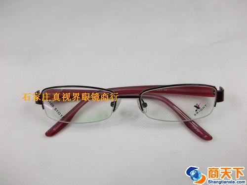 谢霆锋金属镜架 H1108-C22