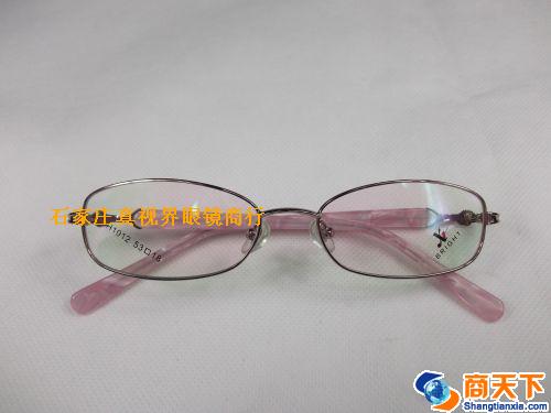 谢霆锋金属镜架 H1012-C20