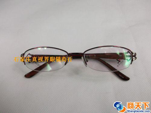 谢霆锋金属镜架 H1063B-C22