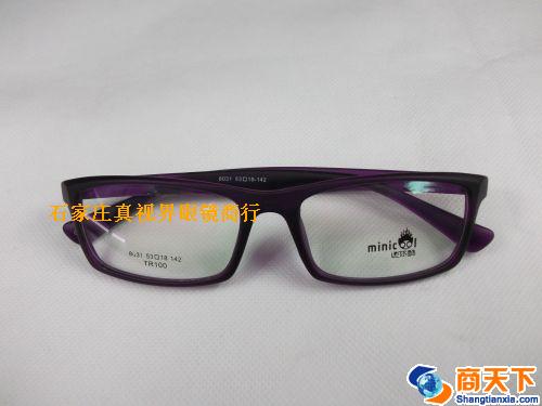 TR镜架 8031-9
