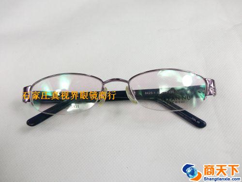 依凡奴金属镜架 8425-C20