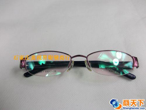 依凡奴金属镜架 8425-C13