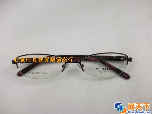 依凡奴金属镜架 8539-C13