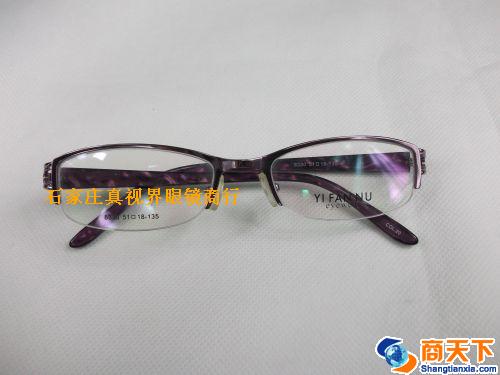 依凡奴金属镜架 8330-C20