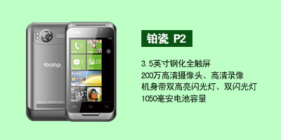 河北百兴电子铂瓷P2