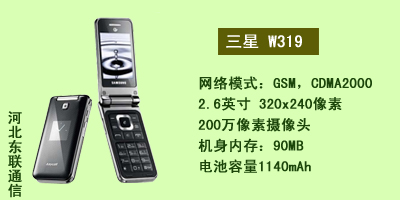 河北东联通讯 三星W319