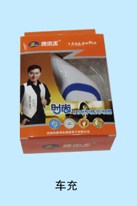 河北暴风科技有限公司 车充