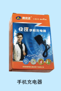 河北暴风科技有限公司 手机充电器