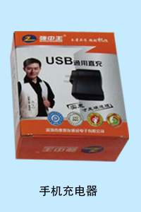 河北暴风科技有限公司 手机充电器