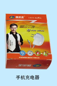 河北暴风科技有限公司 手机充电器
