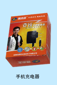 河北暴风科技有限公司 手机充电器