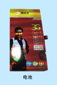 河北暴风科技有限公司 电池