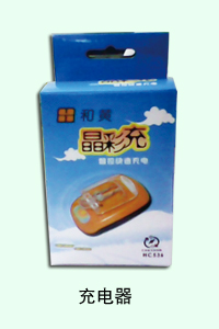 石家庄百仕特电池专家 充电器