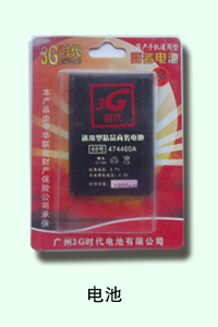 石家庄百仕特电池专家 电池