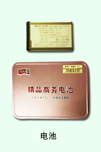 石家庄百仕特电池专家 电池