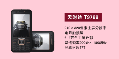 石家庄胜鑫通讯天时达T9788