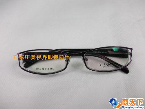依凡奴金属镜架 8954-C20