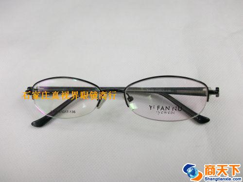 依凡奴金属镜架 8448-C4