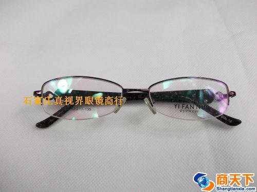 依凡奴金属镜架 8495-C13