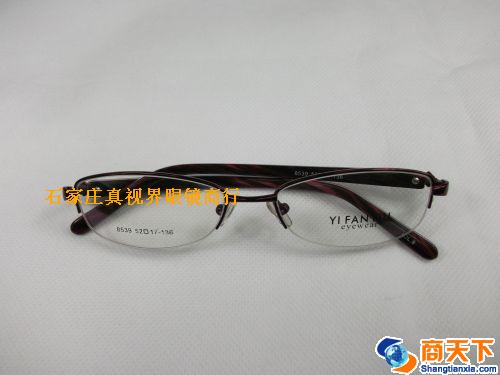 依凡奴金属镜架 8539-C8