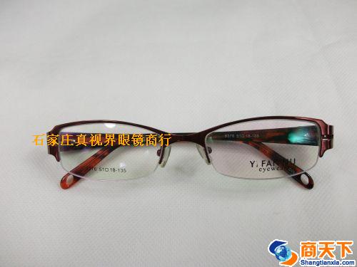 依凡奴金属镜架 8376-C8