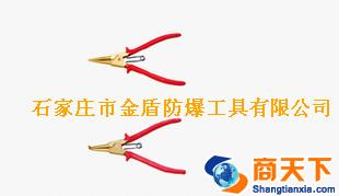 防爆挡圈钳防爆防磁挡圈钳