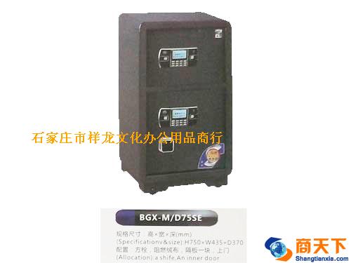 保险箱 振兴 BGX-M/D75SE