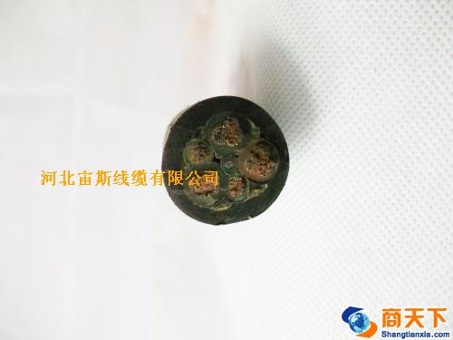 电力电缆