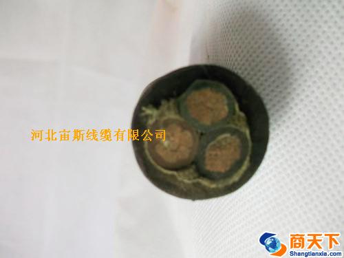 电力电缆