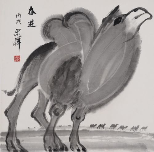 赵忠祥 骆驼