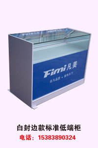 河北伟艺文化传播 白封边款标准低端柜