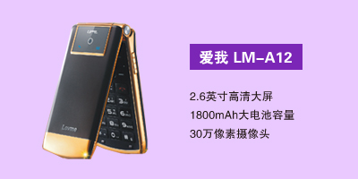 石家庄汇丰通讯电器有限公司 爱我LM-A12