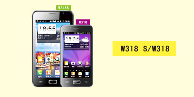 深圳市世纪伟业信息科技有限公司 W318