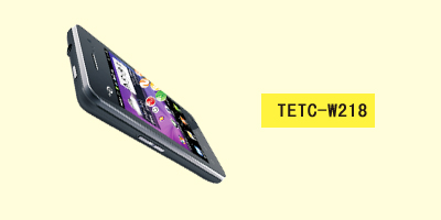 深圳市世纪伟业信息科技有限公司 TETC-W218