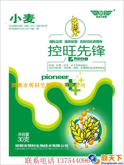 小麦控旺先锋