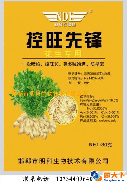 花生控旺先锋