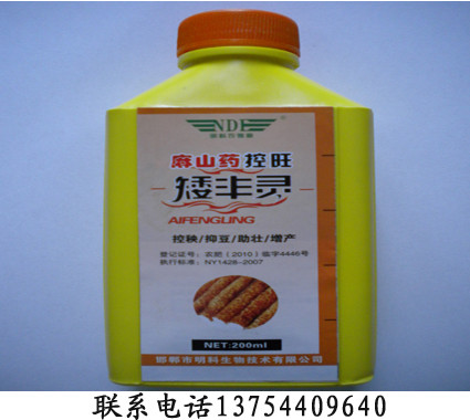 麻山药控旺矮丰灵