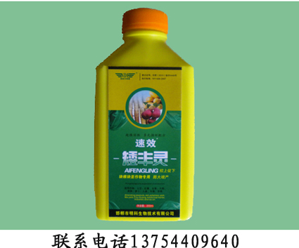 红薯控旺矮丰灵